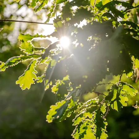 Respiro Umbria, With Biopool Villa *