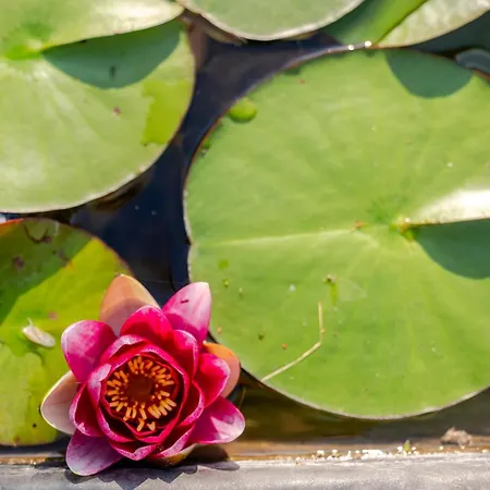 Villa Respiro Umbria, With Biopool