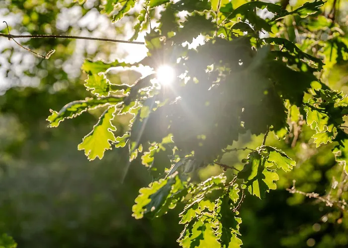 Respiro Umbria, 1500S Villa With Unique Biopool Villa *