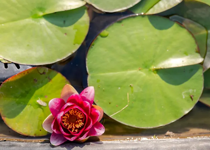 Villa Respiro Umbria, 1500S Villa With Unique Biopool